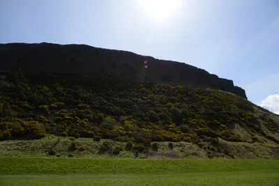 DSC_7345 (Large).JPG